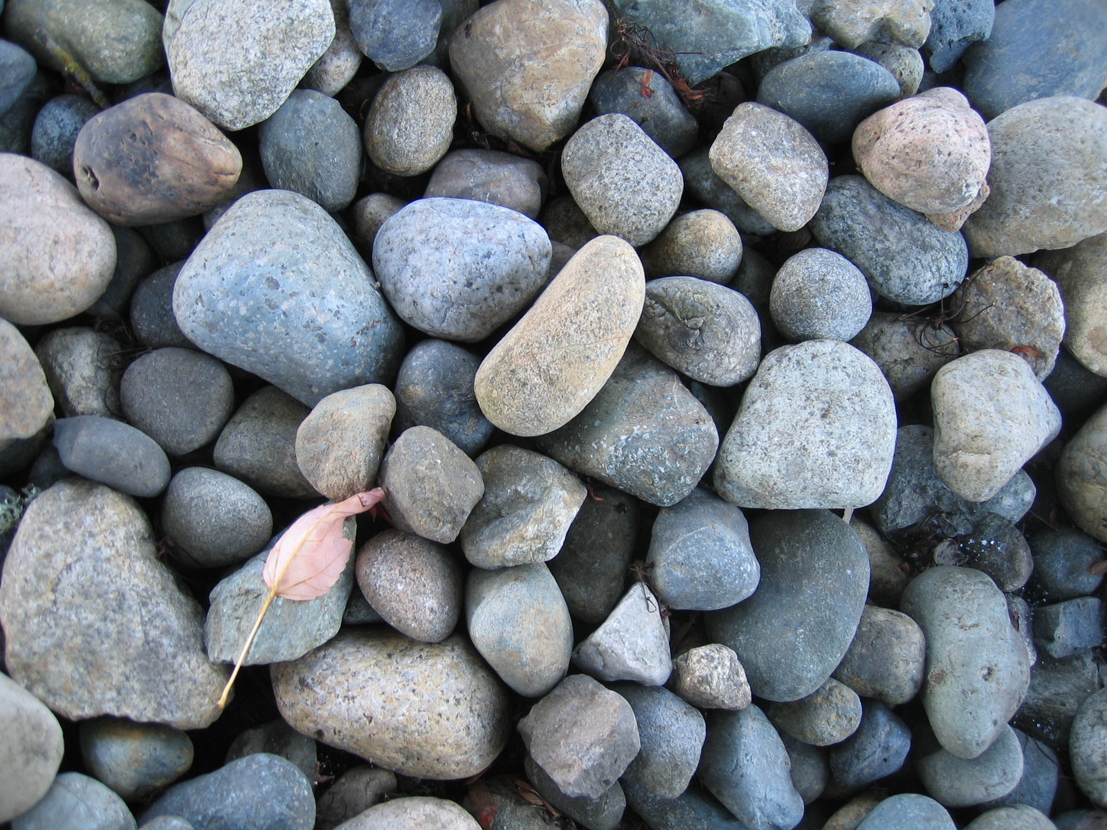 river rocks for sale        <h3 class=